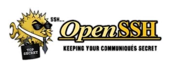 dist/img/technologies/webp/openssh.webp