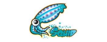 dist/img/technologies/webp/squid.webp